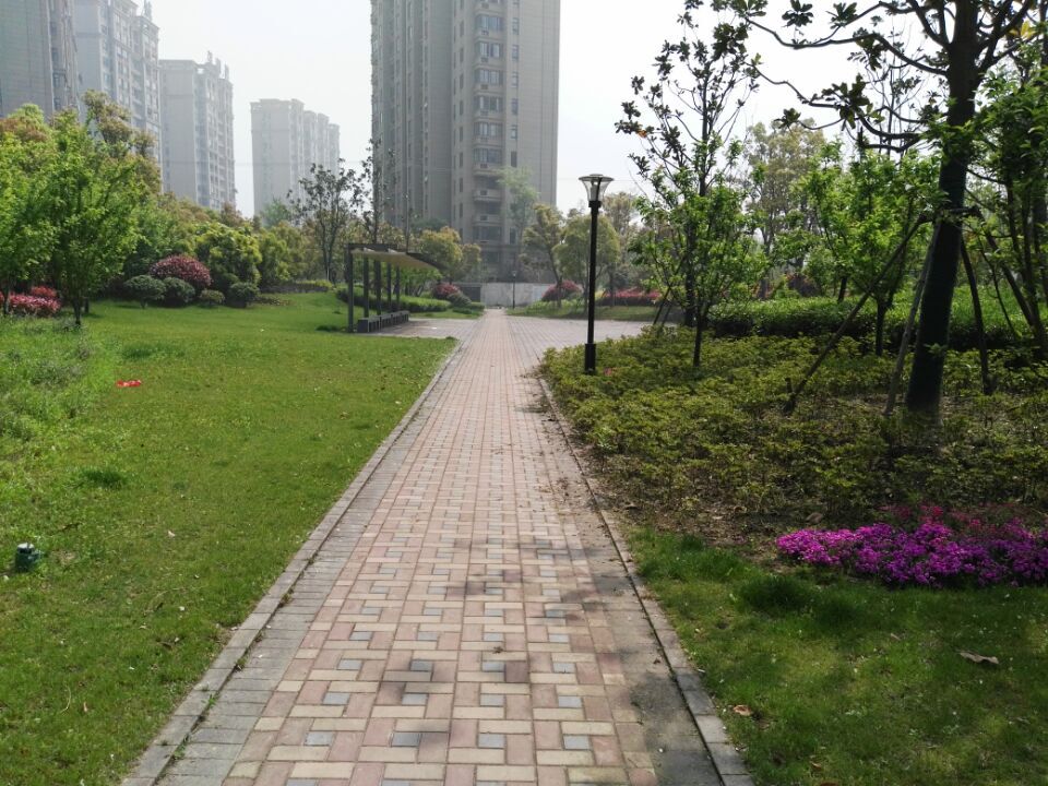 多好的人居环境啊点赞