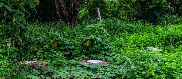 趣看，全人类都在笑↑一览世界风光，上尽人间方便处