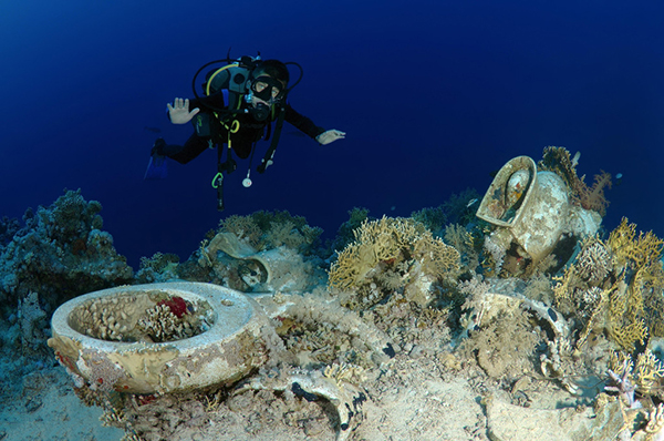 趣看，全人类都在笑↑一览世界风光，上尽人间方便处
