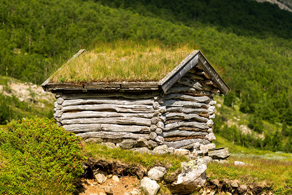 趣看，全人类都在笑↑一览世界风光，上尽人间方便处