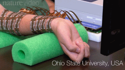 神经信号“绕道”，让瘫痪的手动起来！