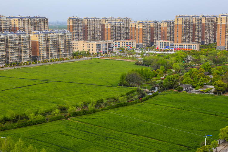 南通 河口村乡村风光美 (1).jpg