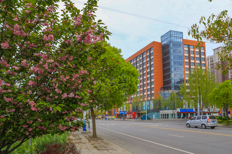 南通 河口村乡村风光美 (2).jpg