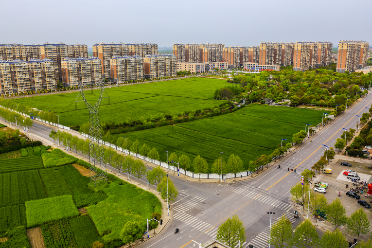 南通 河口村乡村风光美 (5).jpg