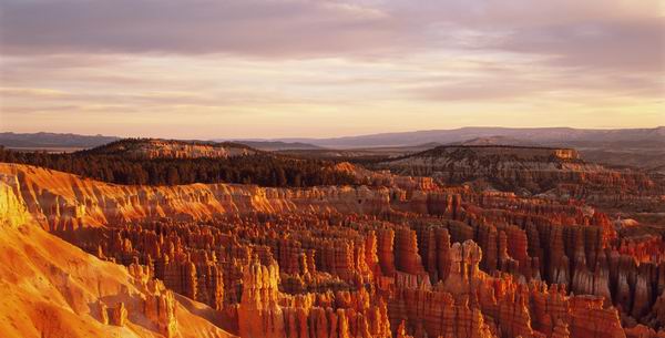 从冬眠中苏醒过来，奖励自己一个超便宜的春季美国之旅