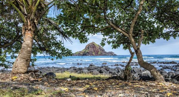 从冬眠中苏醒过来，奖励自己一个超便宜的春季美国之旅