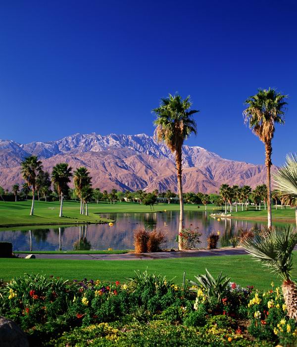 从冬眠中苏醒过来，奖励自己一个超便宜的春季美国之旅