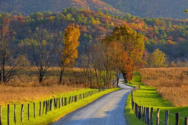 从冬眠中苏醒过来，奖励自己一个超便宜的春季美国之旅