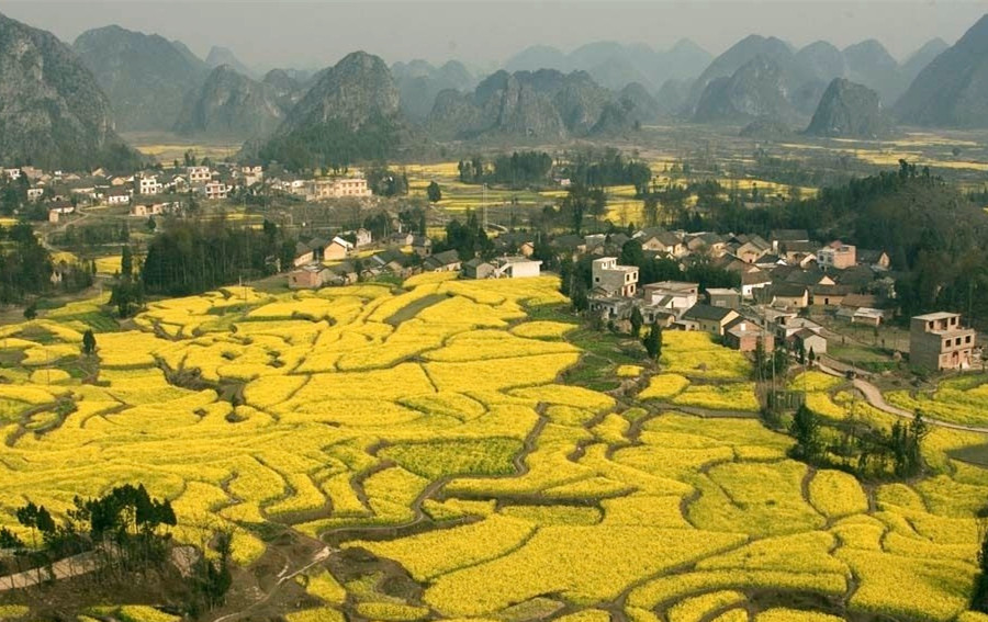 专访王明珂︱（二）弟兄祖先如何过渡到英雄祖先