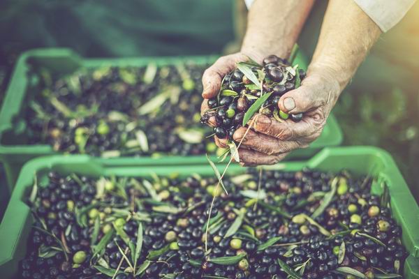 旅行让你身心俱疲？别担心，这里是给常旅客的7个建议