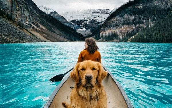 来看看这个时代最有号召力的网红宠物们