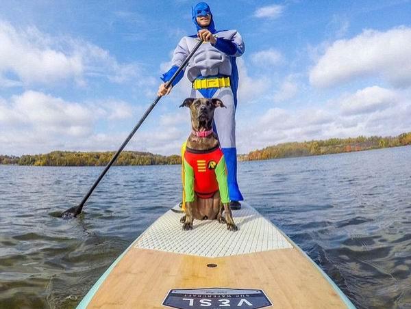 来看看这个时代最有号召力的网红宠物们