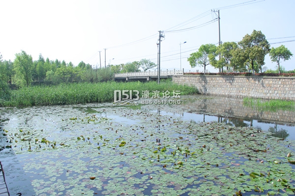 苏州太湖湿地