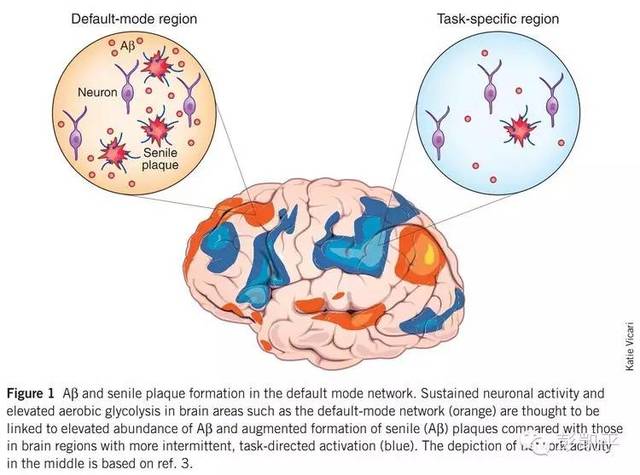 人类思维的优越性，到底体现在哪里？
