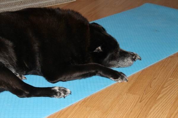 戒掉社交软件的7天，我是如何度过的