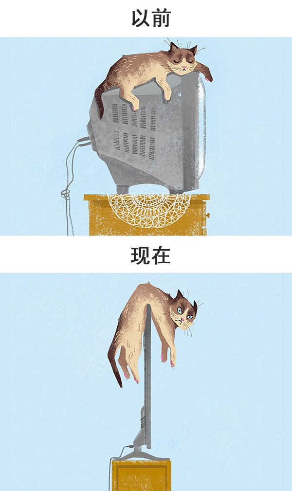 趣看｜科技，如何改变了猫的生活