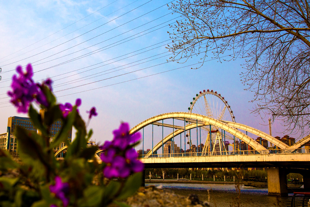 花中城北 (2).jpg