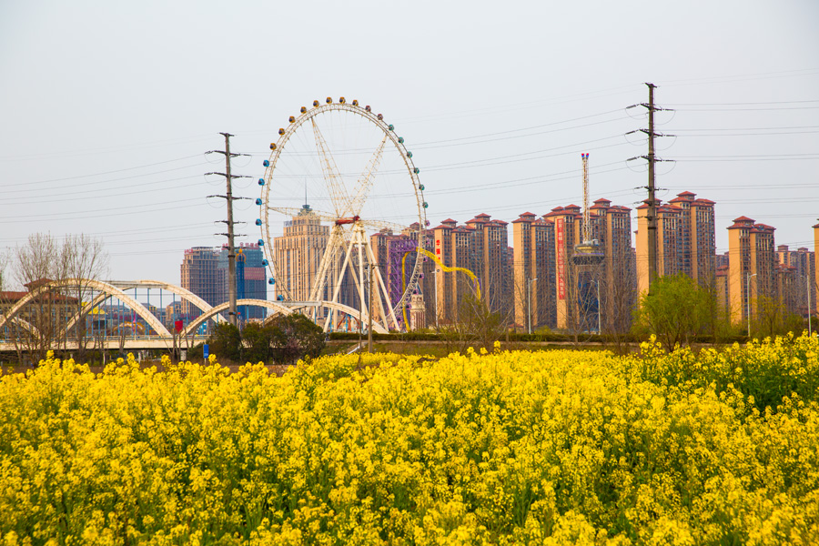 花中城北 (3).jpg