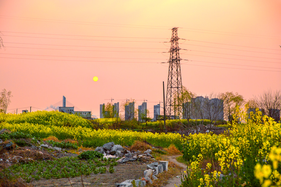 花中城北 (4).jpg