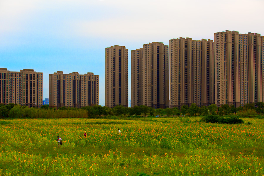 花中城北 (5).jpg