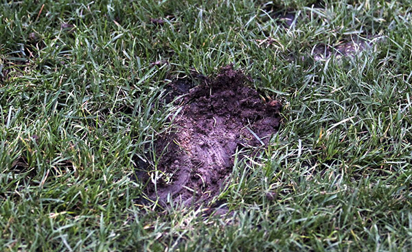 80亿中超脸上长暗疮，谁来为中超的“菜地”负责？