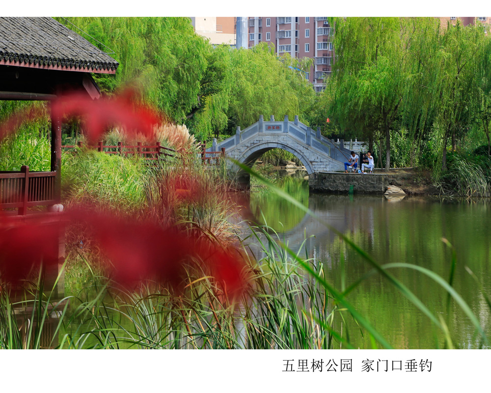 02五里树公园 家门口垂钓.jpg