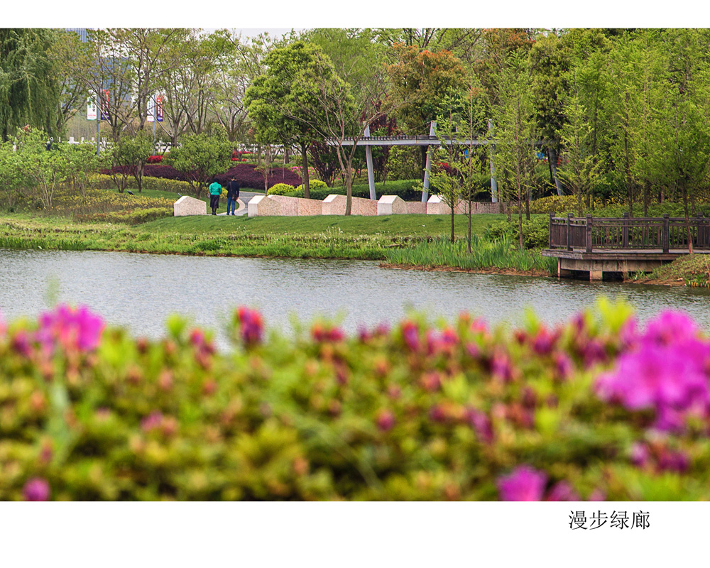 04漫步绿廊.jpg