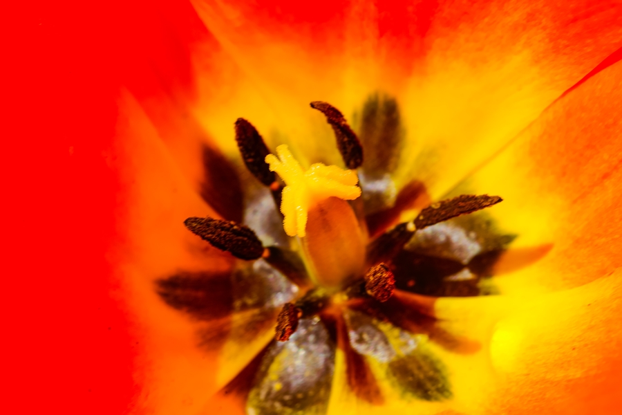 140433nu7gzj8tw7msw7z5.jpg