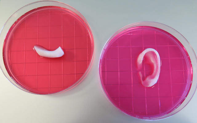 酷炫动图（二十八）：医学篇