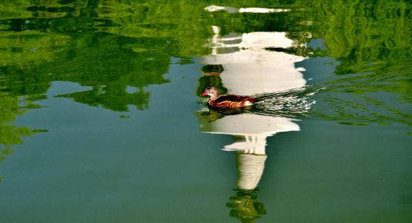 老北京怎么过夏天：家里糊冷布，街上搭天棚，北海纳凉