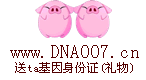 DNA群贴图3.gif
