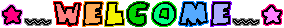 欢迎.gif