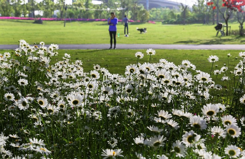 雨后南通小清新 (1).jpg