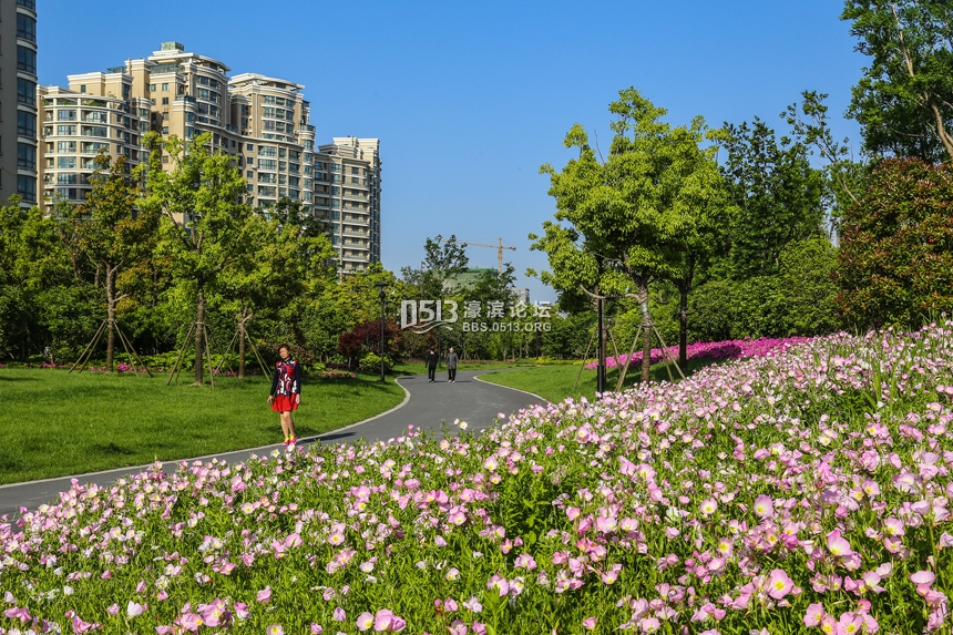 雨后南通小清新 (4).jpg