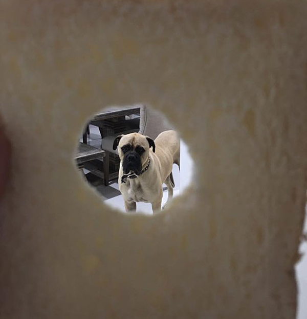 趣看｜有一种眼神，叫节后怨念