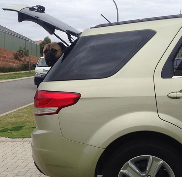 趣看｜有一种眼神，叫节后怨念