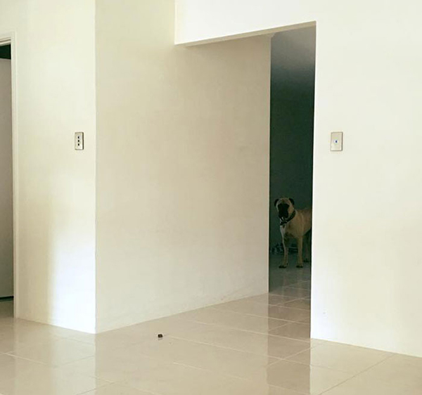 趣看｜有一种眼神，叫节后怨念