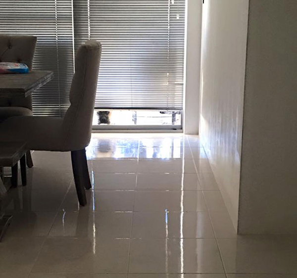 趣看｜有一种眼神，叫节后怨念