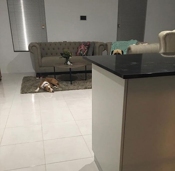 趣看｜有一种眼神，叫节后怨念