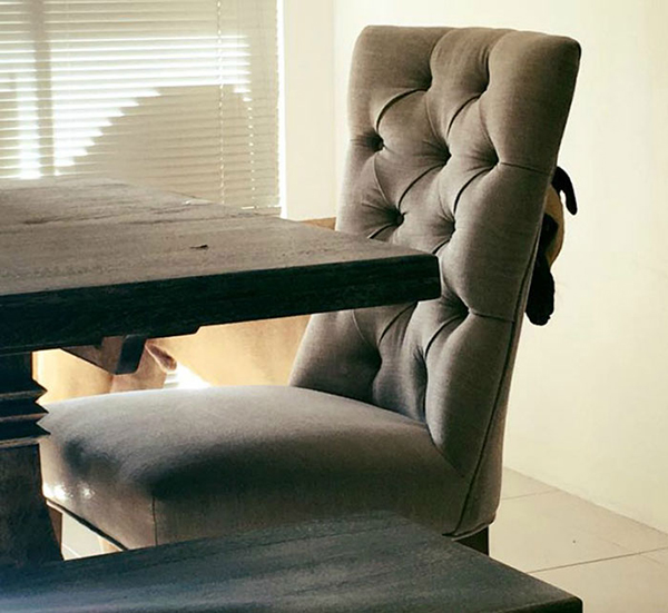 趣看｜有一种眼神，叫节后怨念