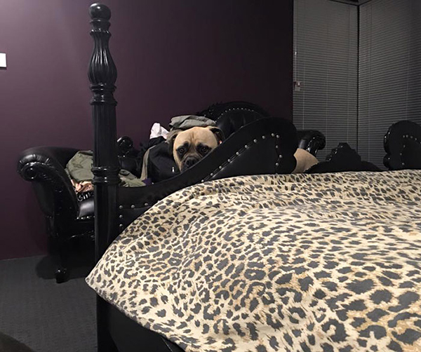 趣看｜有一种眼神，叫节后怨念