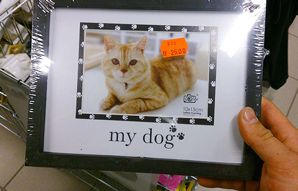 趣看｜这位包装设计师，您脑洞开挂了吗？