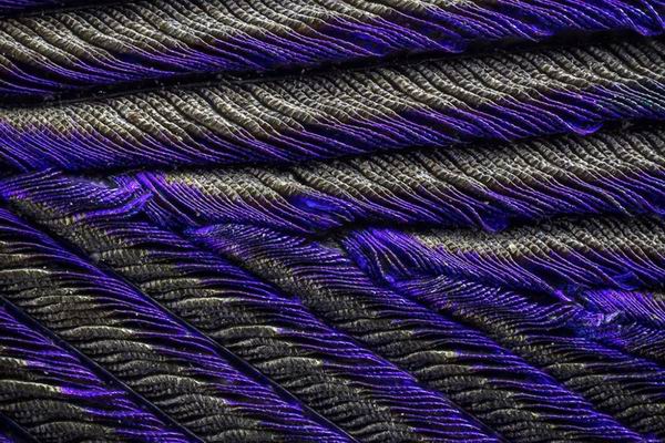 微观视野里的孔雀羽毛，比开屏更美艳！