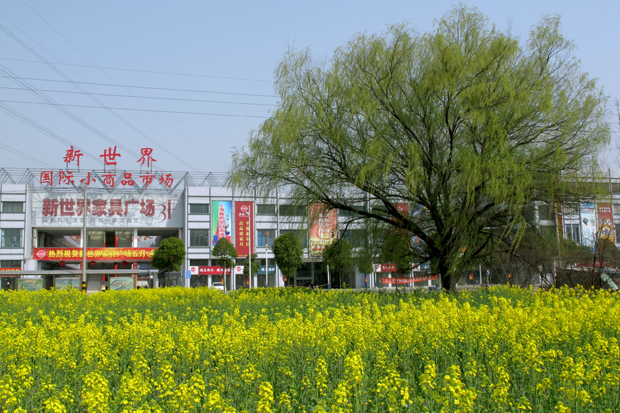  八：新世界国际小商品市场。