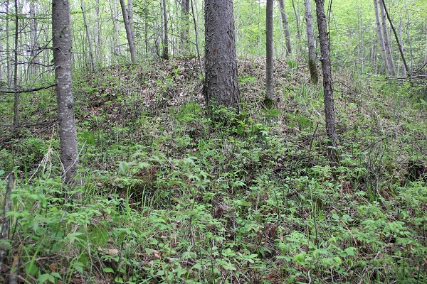 中朝边界踏查记：300年前的疆界划分藏着多少秘密