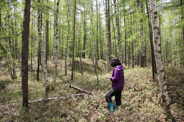 中朝边界踏查记：300年前的疆界划分藏着多少秘密