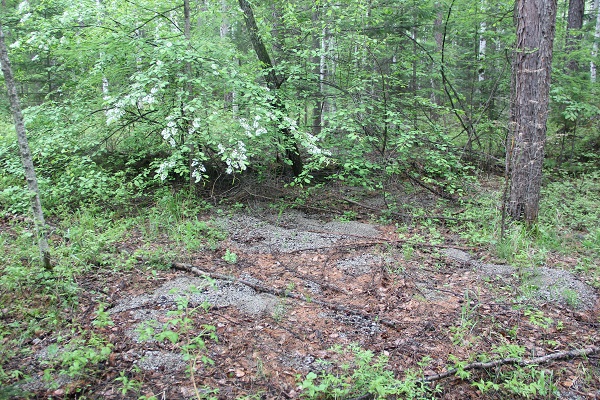 中朝边界踏查记：300年前的疆界划分藏着多少秘密