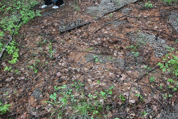 中朝边界踏查记：300年前的疆界划分藏着多少秘密