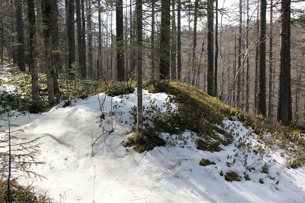 中朝边界踏查记：300年前的疆界划分藏着多少秘密