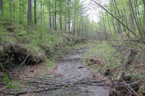 中朝边界踏查记：300年前的疆界划分藏着多少秘密